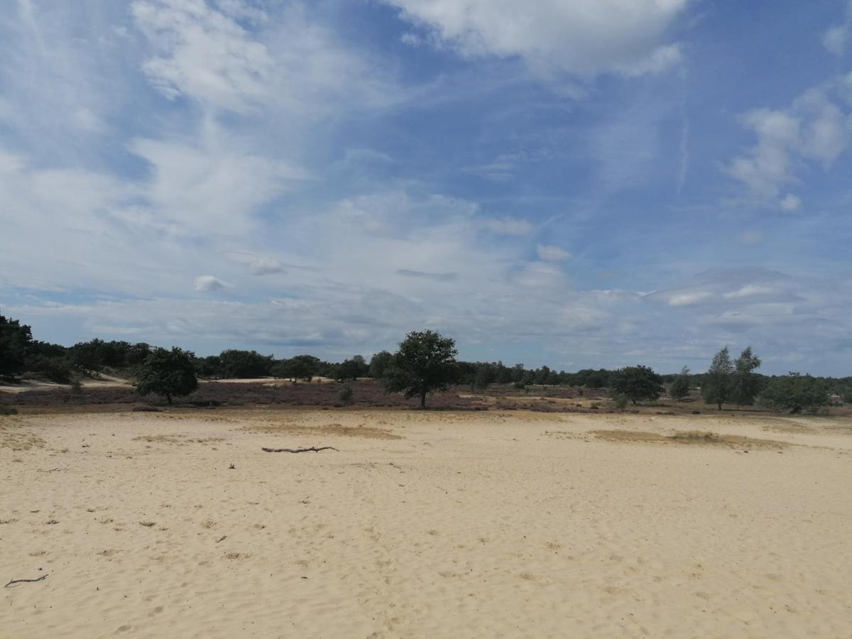 Vakantiehuis De Schaapskooi 德吕嫩 外观 照片