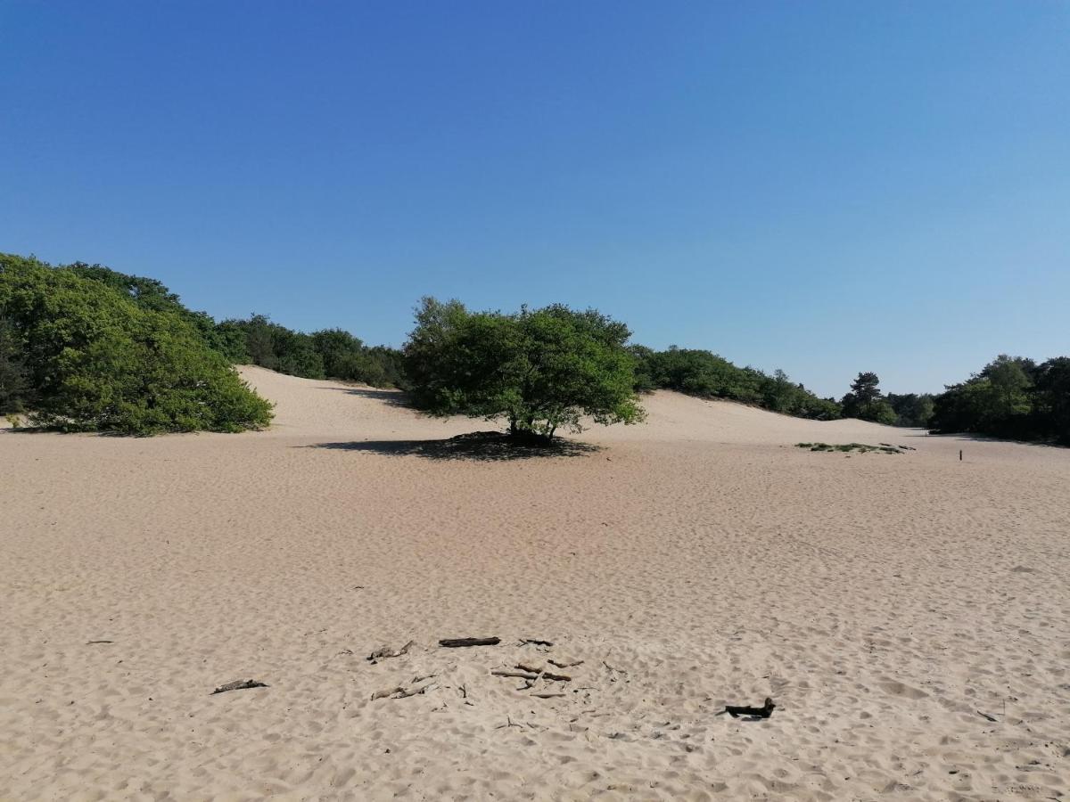 Vakantiehuis De Schaapskooi 德吕嫩 外观 照片