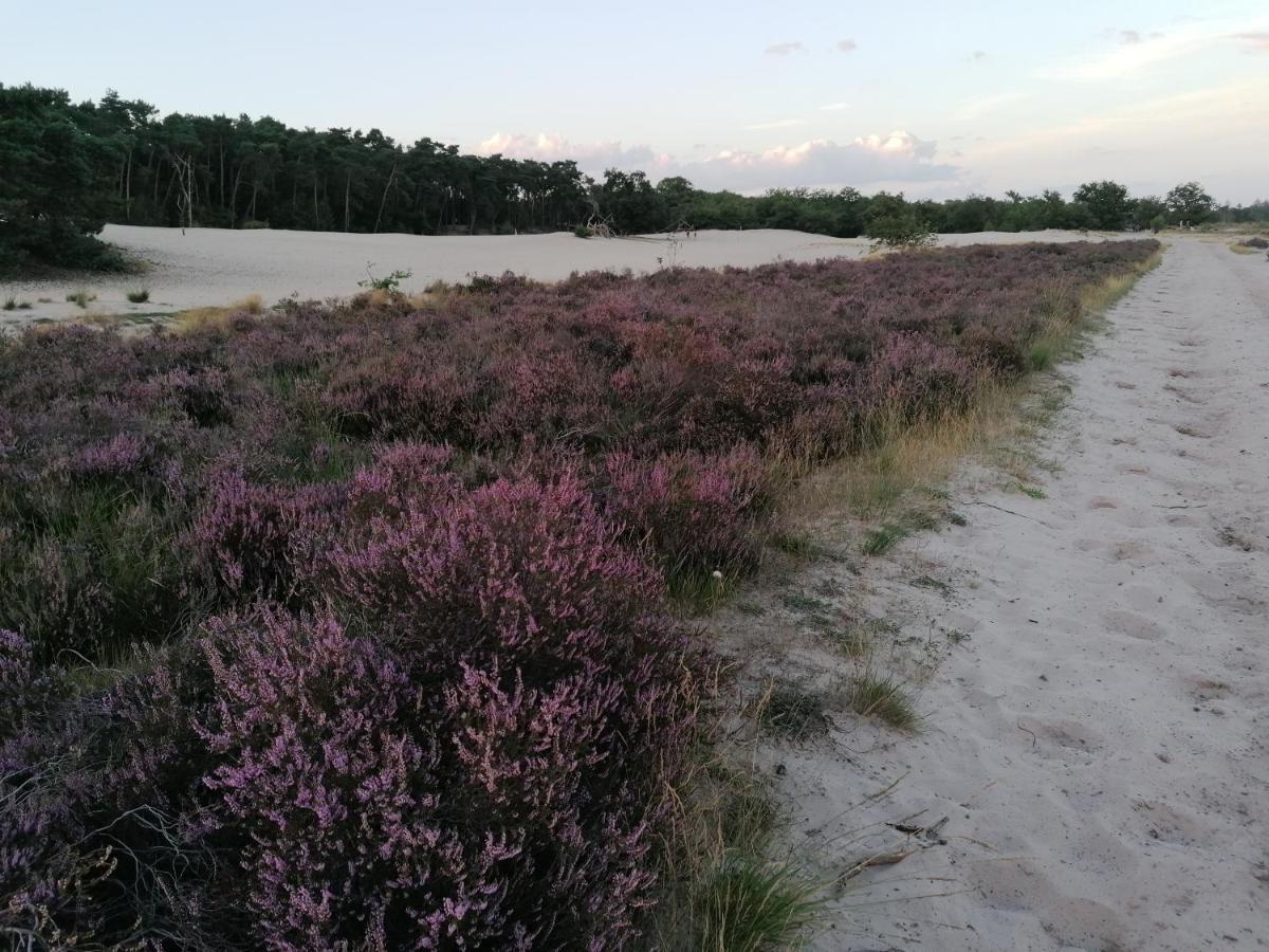 Vakantiehuis De Schaapskooi 德吕嫩 外观 照片